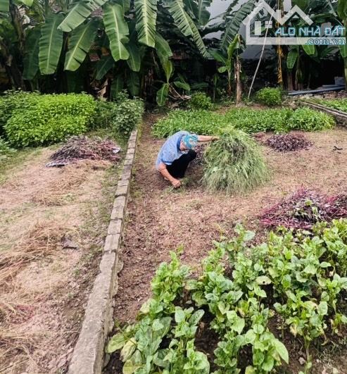 💕 ĐẤT PHÂN LÔ - CỰC HIẾM - THÔNG SỐ VÀNG - GIÁ ĐẦU TƯ SINH LỜI NHANH  X2, X3 - QUÁN KHÊ - - 1