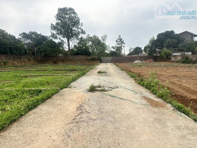 CC NHỜ BÁN HỘ ĐẤT THANH SƠN MINH PHÚ,PHÂN LÔ GIÁ ĐẦU TƯ F0 CHỈ 1XTR/M2 - 1