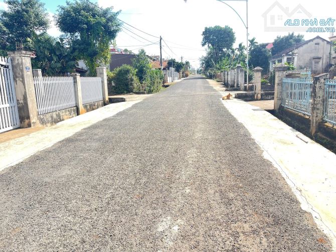 💥Lô TC 5*24,5m,Đường H,Trong Vành Đai,gần chợ,Gần Phạm Ngũ Lão,nhiều lô khác - 1