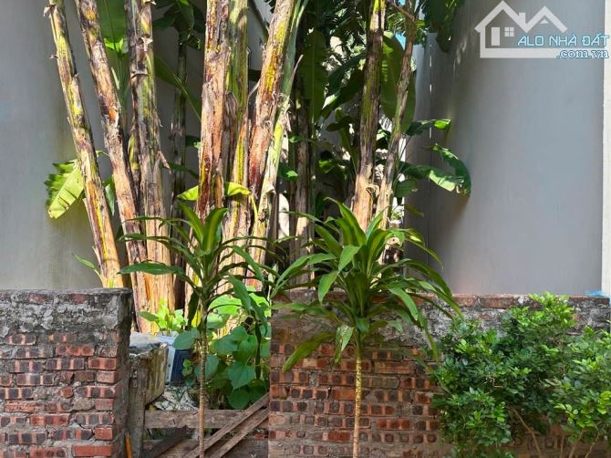 💥 HẠ CHÀO SÂU 💥 BÁN ĐẤT PHÚC LỢI - LONG BIÊN - NGÕ NÔNG - Ô TÔ VÀO ĐẤT - 50M² - 💸 5 TỶ - 1