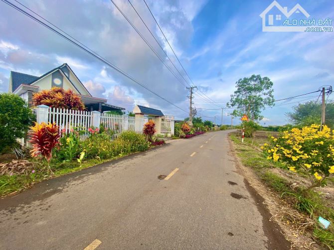 BÁN ĐẤT XÃ ĐẤT ĐỎ - TP HỒ CHÍ MINH; ( Cũ là xã Láng Dài - Huyện Long Đất - BRVT) - 1