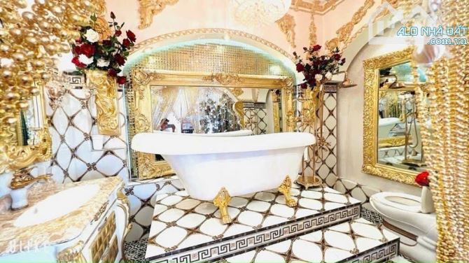 Bán biệt thự dát vàng, Q7. 215m2 SD, ngang 5m, hẻm 4,5m, 12 phòng. - 12
