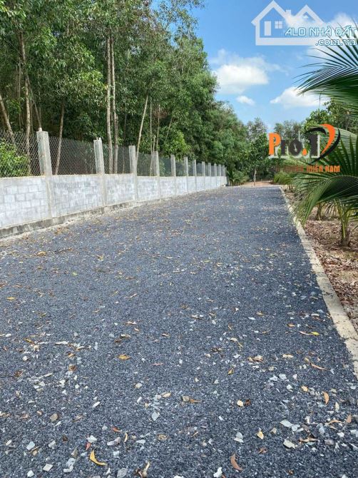 BÁN NHÀ XƯỞNG 28500m2 XÃ TÂN AN VĨNH CỬU ĐỒNG NAI GIÁ CHỈ GẦN 900K/M2 - 2