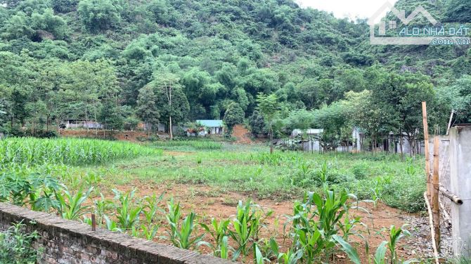 Cần bán gấp mảnh đất 3278m2 - 400m2 thổ cư tại Cư Yên Lương Sơn. Đường đã dải Aphan - 2