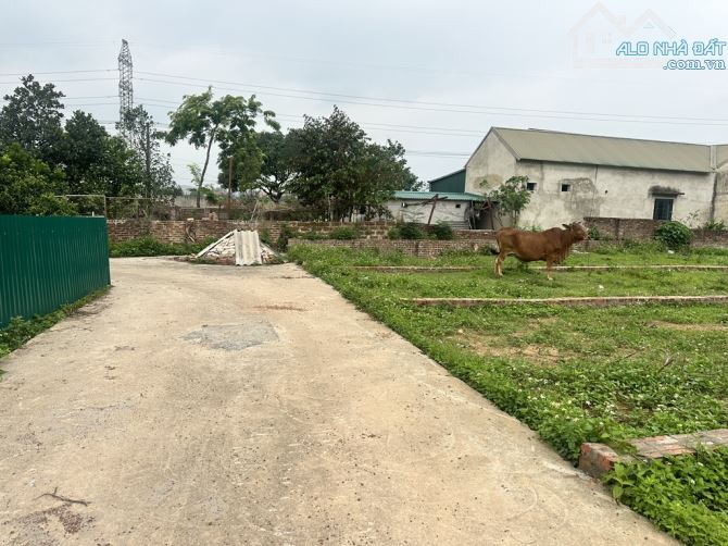 CC NHỜ BÁN HỘ ĐẤT THANH SƠN MINH PHÚ,PHÂN LÔ GIÁ ĐẦU TƯ F0 CHỈ 1XTR/M2 - 2