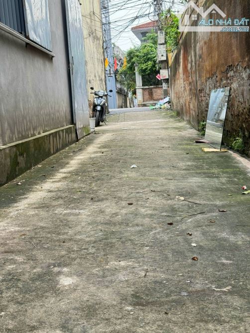 CƠ HỘI ĐẦU TƯ – ĐẤT 42m² ĐẸP NHƯ MƠ  tại MAI LÂM ĐÔNG ANH HÀ NỘI - 2