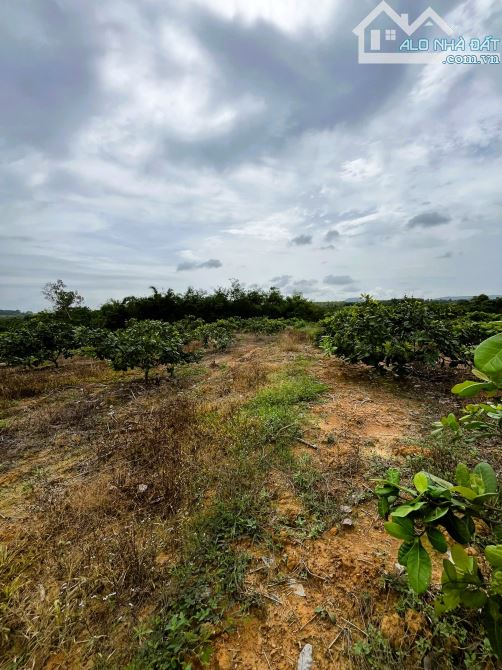 BÁN LÔ ĐẤT GẦN HỒ TRỊ AN 11,141M2 (1HA1) KHU DÂN CƯ CÁCH QUỐC LỘ 20 3KM CHỈ 2TỶ - 2