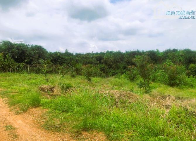 BÁN ĐẤT 1 SẸC QUỐC LỘ 20 1110m2(44mx30m) KHU DÂN CƯ CÁCH QUỐC LỘ 20 300M CHỈ 395 TRIỆU - 2