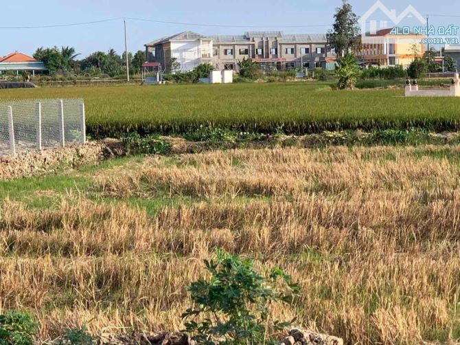 Đất NN 2.000m2, đường ĐT 830, ngay UBND xã Long Định, huyện Cần Đước, LA - 3