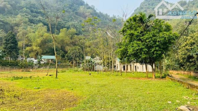 Cần bán gấp mảnh đất 3278m2 - 400m2 thổ cư tại Cư Yên Lương Sơn. Đường đã dải Aphan - 3