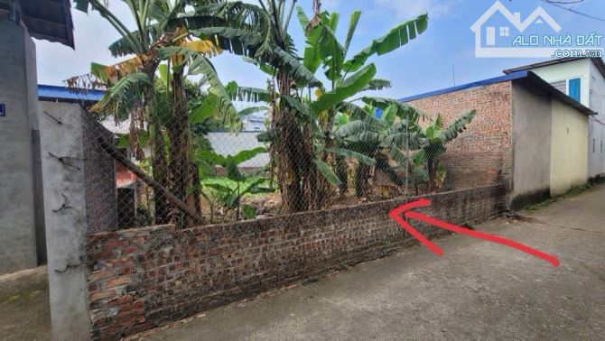 BÁN ĐẤT MINH PHÚ FULL THỔ CƯ CHỈ 21TR/M2,CÁCH QL35 100M - 3