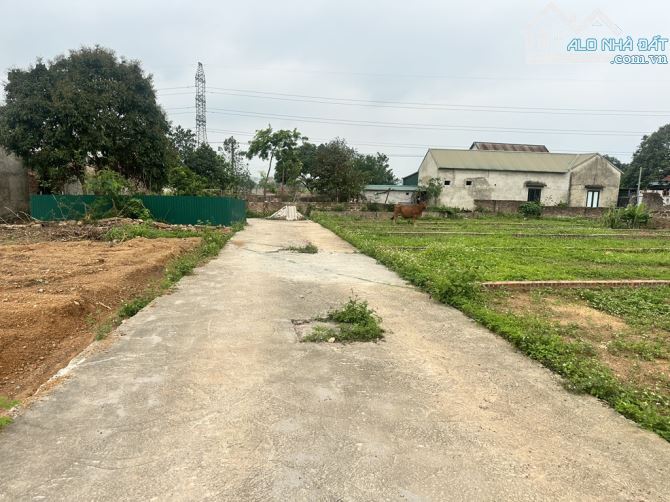 CC NHỜ BÁN HỘ ĐẤT THANH SƠN MINH PHÚ,PHÂN LÔ GIÁ ĐẦU TƯ F0 CHỈ 1XTR/M2 - 3