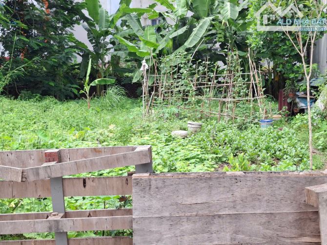 MẶT ĐÊ VÀNG 92.5M2/14.9 TỶ/ ĐẤT MẶT PHỐ OTO TRÁNH, VỈA HÈ - KINH DOANH ĐỈNH CAO! - 3