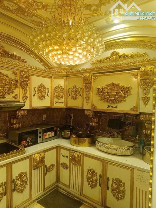 Bán biệt thự dát vàng, Q7. 215m2 SD, ngang 5m, hẻm 4,5m, 12 phòng. - 4