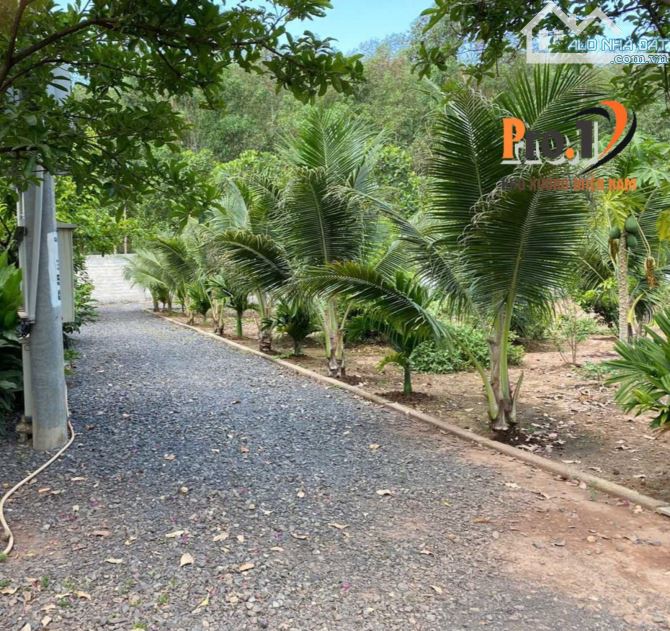BÁN NHÀ XƯỞNG 28500m2 XÃ TÂN AN VĨNH CỬU ĐỒNG NAI GIÁ CHỈ GẦN 900K/M2 - 4