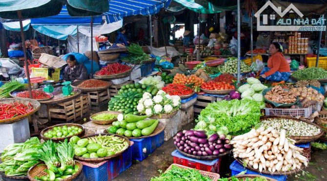 BÁN ĐẤT 124m2 SỔ HỒNG THỔ CƯ GẦN NGAY CHỢ TAM HÒA KINH DOANH BUÔN BÁN, 2 MẶT ĐƯỜNG OTO - 4