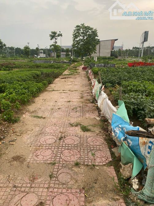 CHÍNH CHỦ CẦN BÁN 3 LÔ ĐẤT RẺ TẠI XÃ LONG CHÂU – YÊN PHONG – BẮC NINH - 4