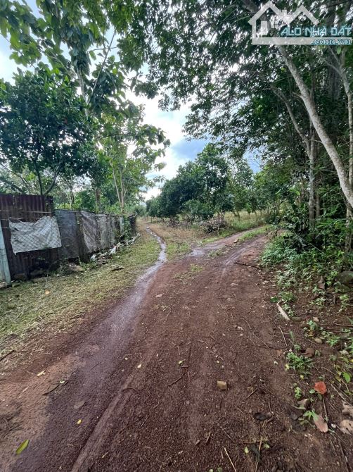 RẺ QUÁ CẦN BÁN GẤP VƯỜN 23,000M2 CÁCH QUỐC LỘ 20 3KM GẦN DÂN CƯ CHỈ 4TỶ6 - 4