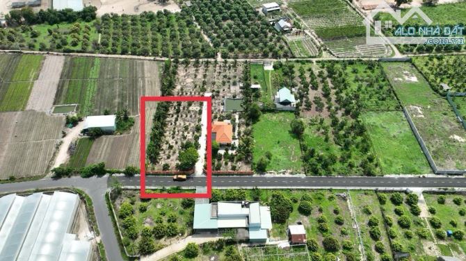 SIÊU ĐẸP - XÃ PHƯỚC HẢI - TP HỒ CHÍ MINH - CÁCH BIỂN CHỈ 3Km 🌈DT 1000M2 - 4
