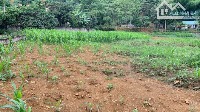 Cần bán gấp mảnh đất 3278m2 - 400m2 thổ cư tại Cư Yên Lương Sơn. Đường đã dải Aphan - 5