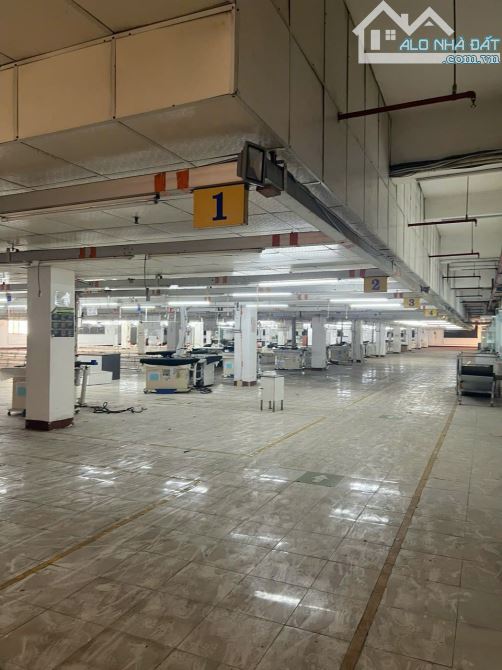 Cho thuê kho xưởng 3000m², 6000m² GIÁ SIÊU RẺ 4$/m2 trong KCN Tân Thuận, Quận 7 - 6
