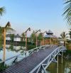 ❌❌❌FARM STAY 1 MẪU 1 GẦN HỒ TRÀM CẦN CHUYỂN NHƯỢNG ❌❌❌ CÁCH HỒ TRÀM 10 PHÚT; HỒ BÀ TÔ 4KM.