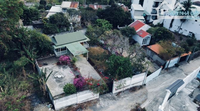 BÁN ĐẤT BIỆT THỰ BÃI DÂU 520 M2 GIÁ 25 TỶ - 8