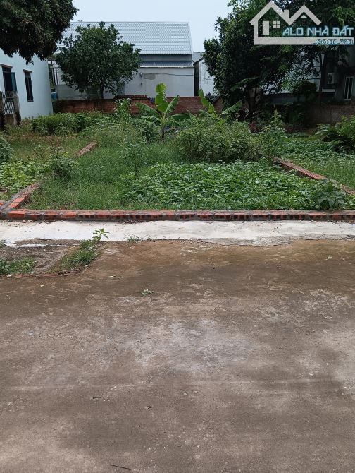 Bán Đất-Minh trí(Sóc Sơn)-134M2 Full Thổ Cư-2, 9Tỷ-Đường Thông Ô Tô Tránh