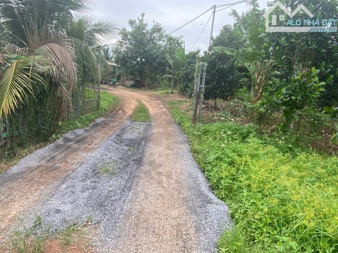 chỉ 380 triệu sở hữu ngay lô đất 738m2 cách đường nhựa khoảng 150m,giá đầu tư