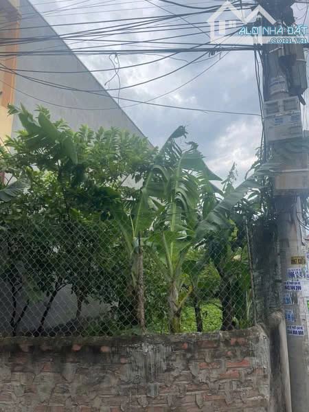 Bán Đất Nhật Tảo Bắc Từ Liêm Cạnh Ciputra 40m giá 5.5 tỷ