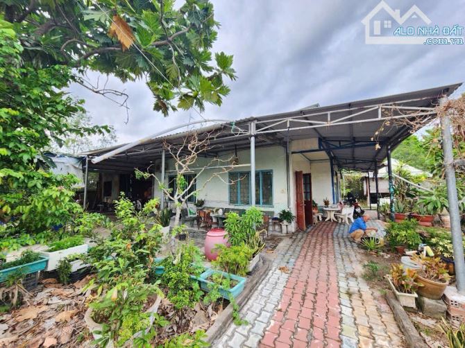 Bán nhanh 2.474,5m2 có 500m2 thổ cư, 8,5Tr/m2, Nhơn Đức, Nhà Bè