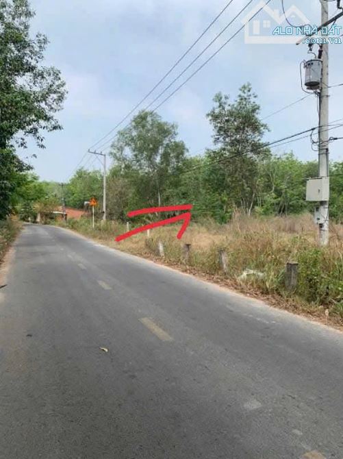 BÁN ĐẤT MT DH615, LONG NGUYÊN, BÀU BÀNG, DT: 5x44, TC100M2, SHR, GIÁ 690 TRIỆU.