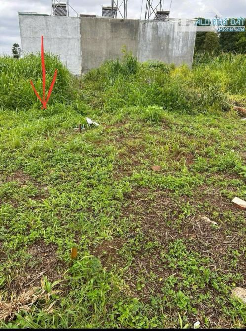 CẦN TIỀN BÁN NHANH LÔ ĐẤT PHƯỜNG THÀNH NHẤT(khánh xuân cũ)🌿🌿🌿🌿