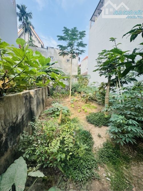 ĐẤT HIẾM THỤY PHƯƠNG – NỞ HẬU NHẸ – Ô TÔ - CHỐT NHANH KẺO HẾT
