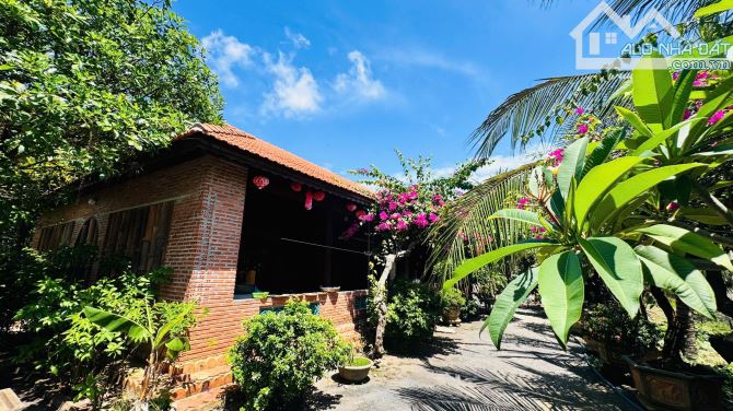 1600M2 (20x80) SÁT TỈNH LỘ 44B - TT PHƯỚC HẢI - CÁCH BIỂN 10 PHÚT 👉  DT: 1585m2 ngang 20x - 1