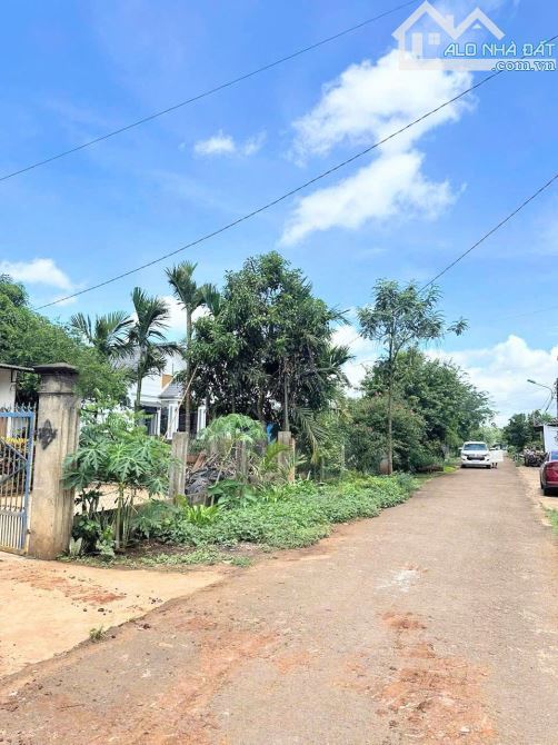 ĐẤT ĐƯỜNG D2 BUÔN KOTAM QUỐC LỘ 26: GIÁ 1.19 tỷ - 1