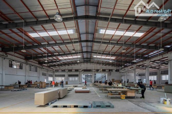 SIÊU XƯỞNG CẦN BÁN GẤP – TL8 CỦ CHI – DIỆN TÍCH KHỦNG – CHỈ 100 TỶ‼️ - 1