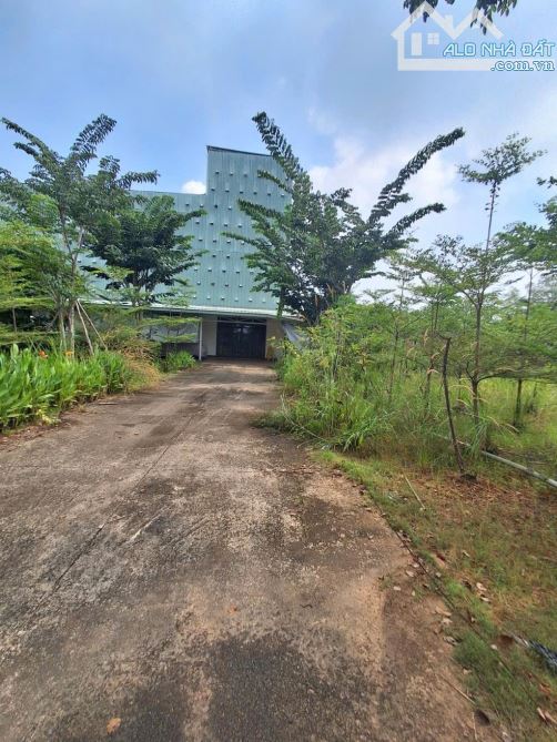 ĐẤT 2 MẶT TIỀN ĐƯỜNG NHỰA - DT 4500M² – VIEW SÔNG ÔNG NHIÊU – LONG TRƯỜNG Q9 - 1
