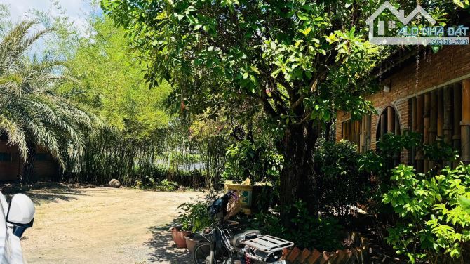 1600M2 (20x80) SÁT TỈNH LỘ 44B - TT PHƯỚC HẢI - CÁCH BIỂN 10 PHÚT 👉  DT: 1585m2 ngang 20x - 2