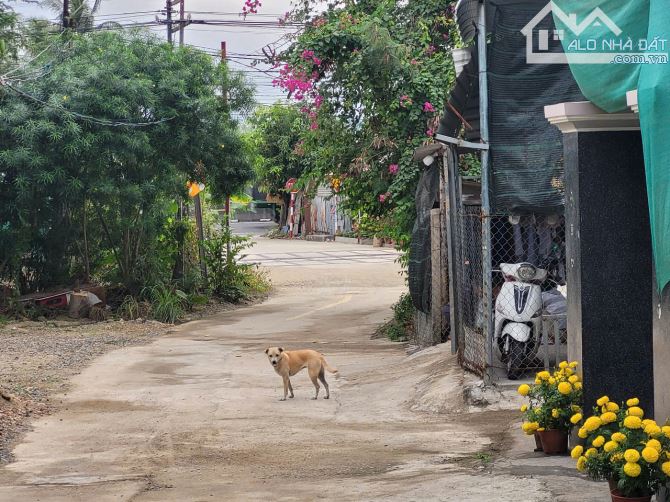 Kẹt Tiền bán Rẻ đất Suối Cát, giáp ranh Suối Hiệp - 2