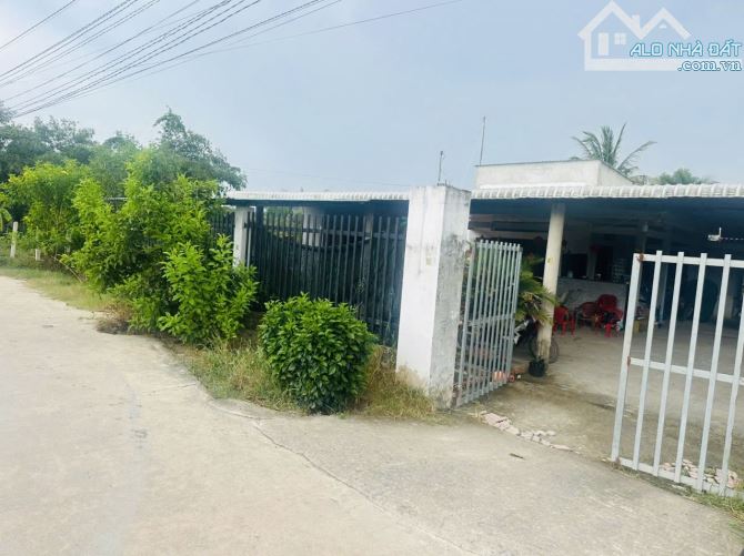1000m2 có thổ cư, đường bê tông (380tr), dân đông - 2