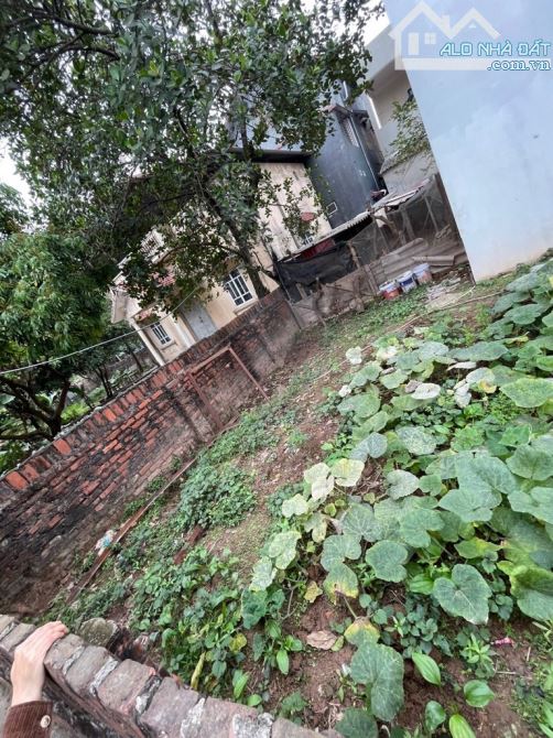Bán 40m2 đất Dương Quang, giá đầu tư, hiếm. - 2
