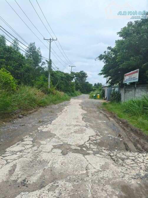 Bán 2,6 sào TMDV Phước Tân ngay Võ Nguyên Giáp, Biên Hòa - 3