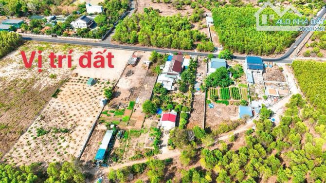 Bán 10 lô đường nhựa rộng 12m cách biển Lan Rừng Resort 2km Xã Phước Hải ,BRVT - 3