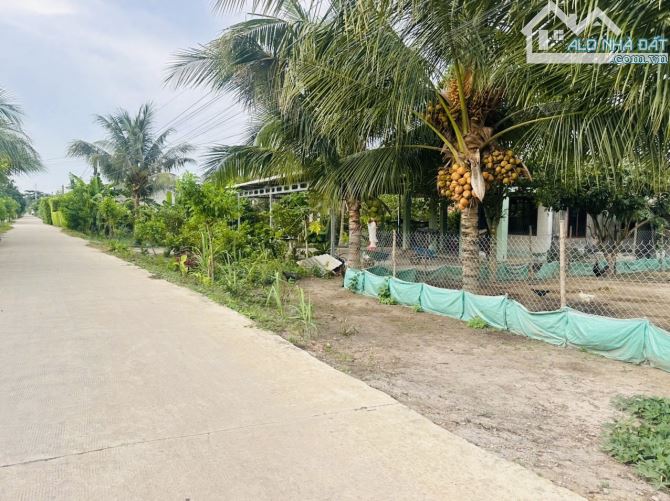 1000m2 có thổ cư, đường bê tông (380tr), dân đông - 3