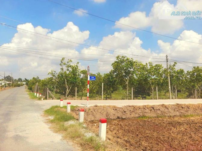 Quá đẹp, 1960m2 đất thổ đường ô tô cực đẹp, chỉ 1.8 tỷ - 3