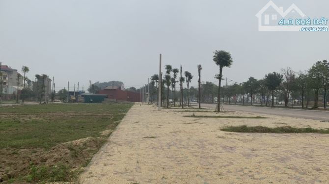 ĐẤT ĐẤU GIÁ Tam Đồng – Mê Linh – Hà Nội , đường 100 mét con đường huyết mạch của Mê Linh - 3