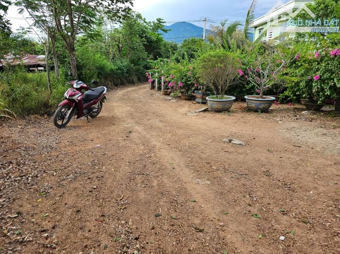 Bán đất Diên Đồng thôn 2 ngay trung tâm hành chính xã - sau lưng trạm Y tế - 4