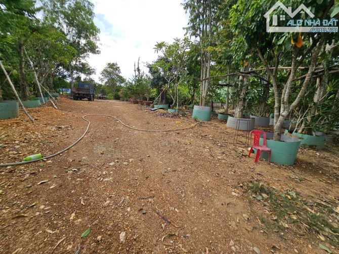 Bán đất Diên Đồng thôn 2 ngay trung tâm hành chính xã - sau lưng trạm Y tế - 5