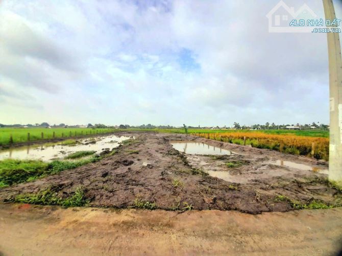 Quá đẹp, 1960m2 đất thổ đường ô tô cực đẹp, chỉ 1.8 tỷ - 6